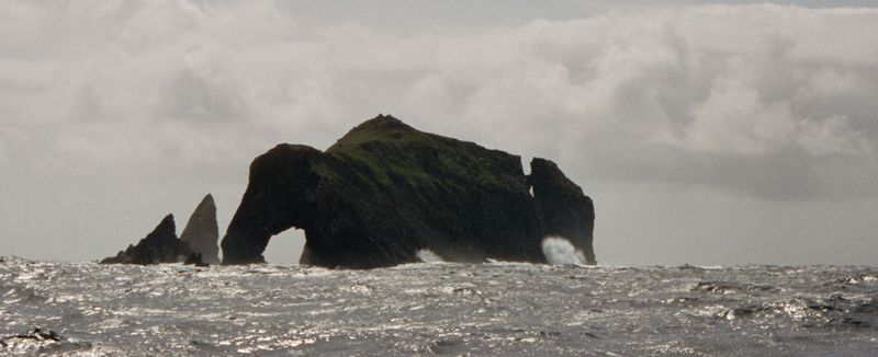 Un éléphant de mer???